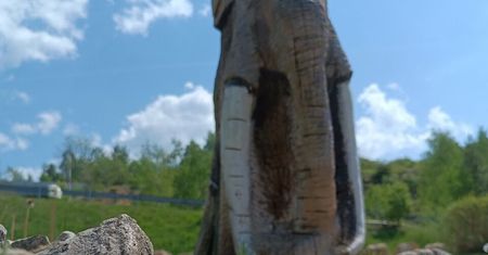 GEOsfera w Jaworznie – najlepszy ośrodek edukacji ekologiczno-geologicznej