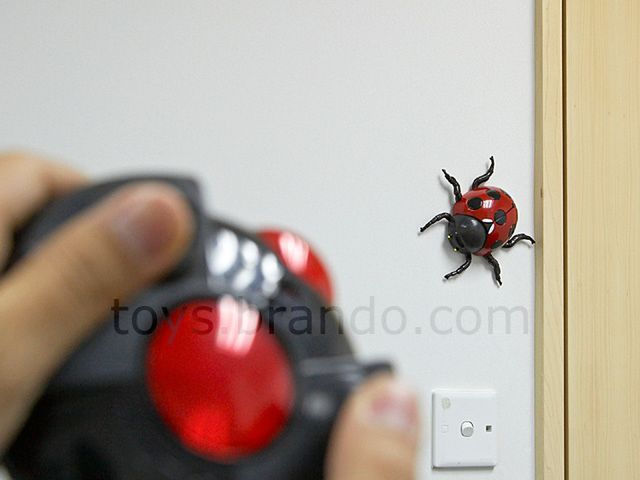 Rechargeable RC Wall Climber - SPACE INSECT