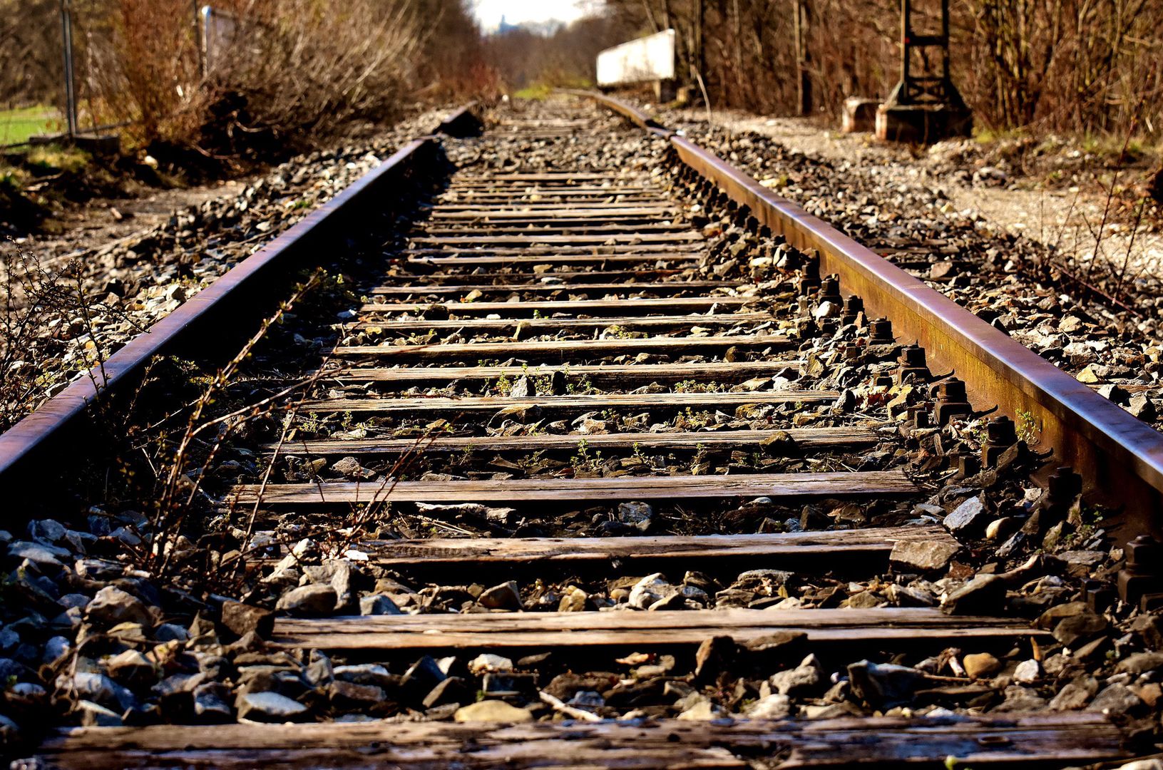 Tragedia na torach. Pendolino potrąciło dwie osoby