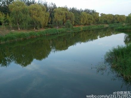 Zuk Z1 zapowiada się coraz ciekawiej. Xiaomi i OnePlus mają się czego bać? 10