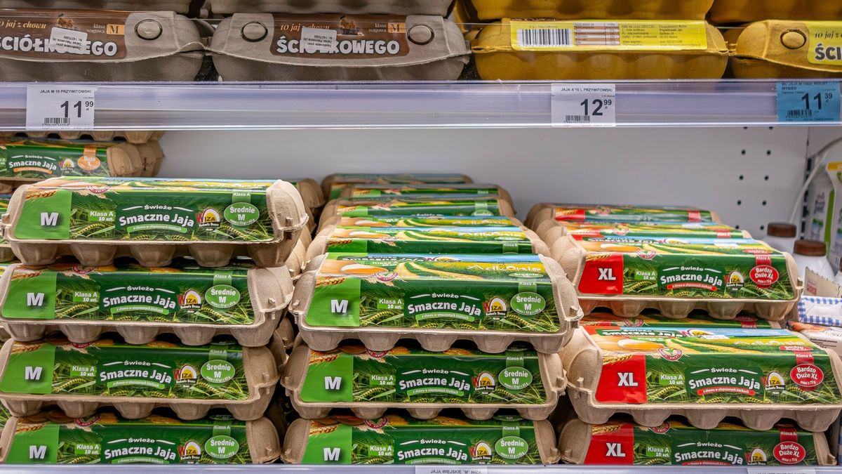 Reporter archiwum 2025 02
20.02.2025 Mazury. Ekspozycja towaru - jajka (zdj. ilustracyjne). fot. Eryk Stawinski/REPORTER
Eryk Stawinski/REPORTER