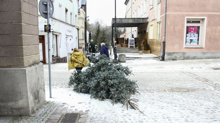 reporter_baza_2022-05
01.02.2022 Olsztyn fot. Artur Szczepanski/REPORTER n/z choinka na swieta
Artur Szczepanski/REPORTER