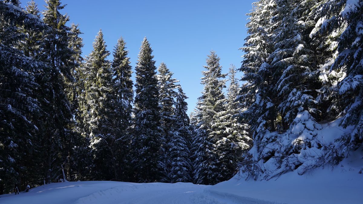 Tatry zimą