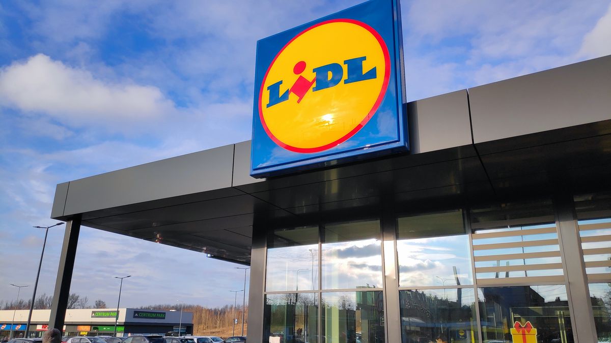 Promocje w Lidlu