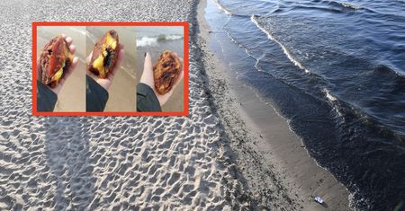 Prezent od Bałtyku. Para znalazła skarb na plaży w Darłowie