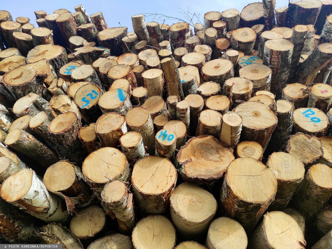 Nowe zasady palenia drewnem. Oto co się zmienia