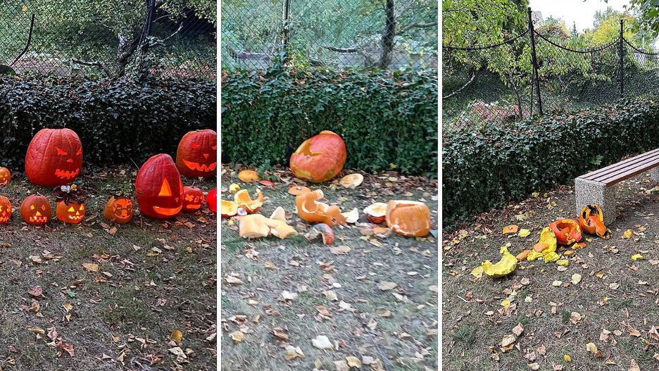 Czeski proboszcz sabotuje Halloween