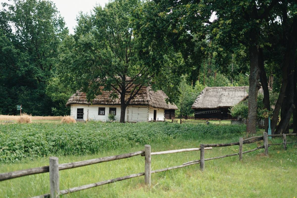 Muzeum Wsi Radomskiej rozpoczęło kolejne prace konserwatorskie. Wymieniają strzechę i odświeżają elewację w zabytkowych chałupach