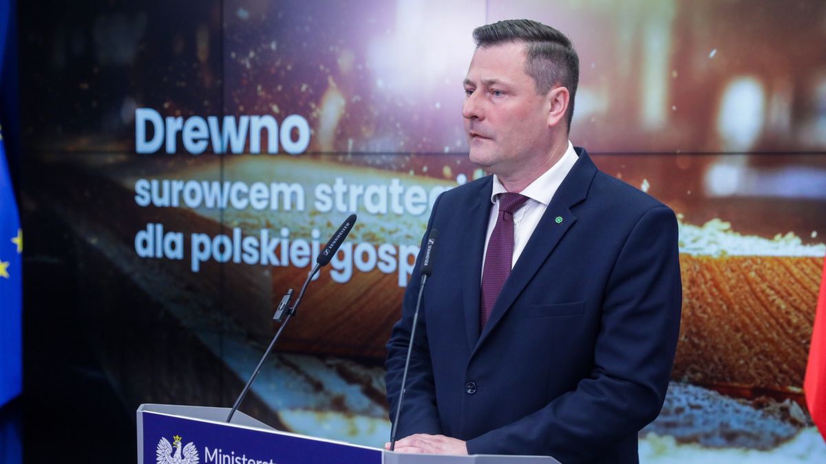 Drewno będzie nowym surowcem strategicznym RP