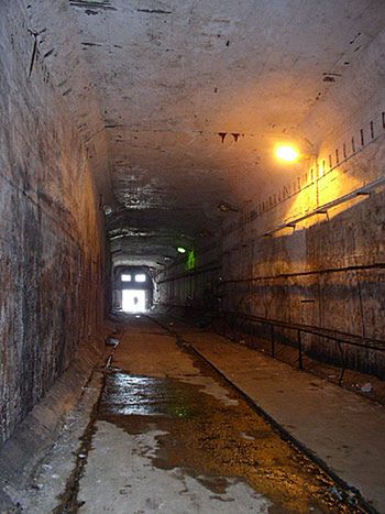 Metro w Polsce i na świecie. Nieudolność w starciu z rozsądkiem 4