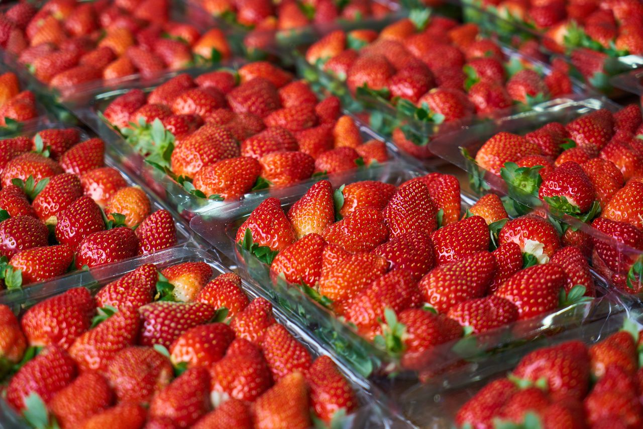 strawberries/ illustrative picture