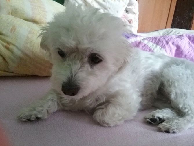 Samsung Galaxy Tab A - czy to na pewno tablet Samsunga? [recenzja konkursowa #8] 13