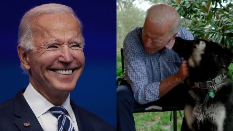 Pies Joe Bidena, Major miał własną inaugurację