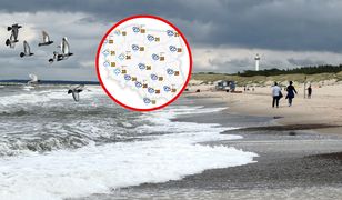 Temperatura gruchnie z dnia na dzień. Nawet 10 stopni w dół