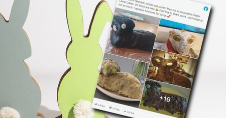 Na widok tych baranków parskniesz śmiechem. Zdjęcia obiegły internet