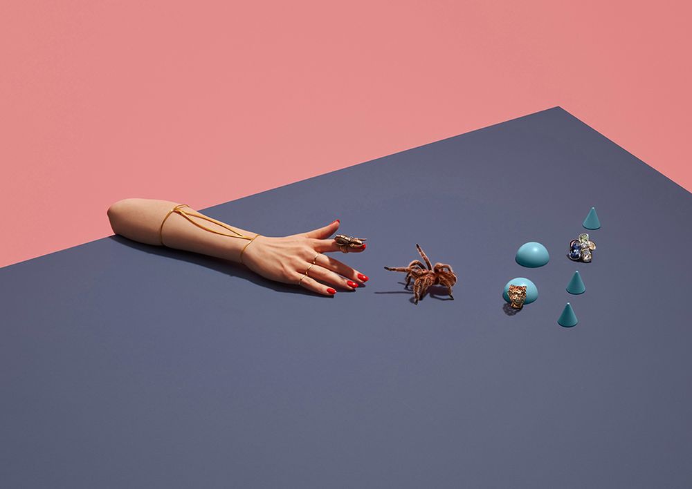 Oto zwycięzcy konkursu Sony World Photography Awards 2016 22