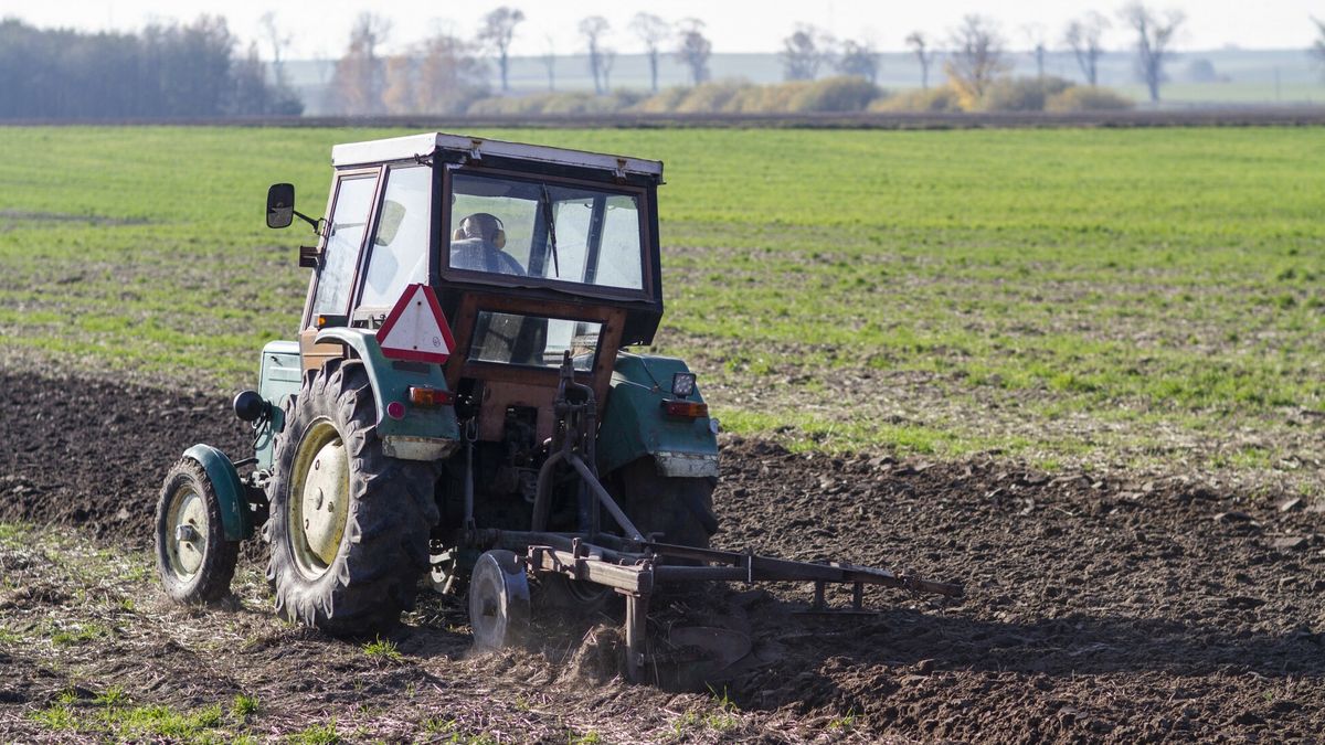 Zasiane jesienią rośliny wiosną wymagają nawożenia. Ceny nawozów są jednak tak wysokie, że rolnicy ostrzegają: plony będą w tym roku dużo niższe