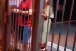 Księża z młodymi kobietami na plebanii. Do sieci wyciekło nagranie