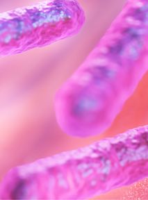 Two products used by almost everyone have been classified as "carcinogenic". WHO warning