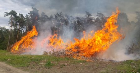 Wiadomo, kto podpalił puszczę w Wielkopolsce. "Nikt się tego nie spodziewał"