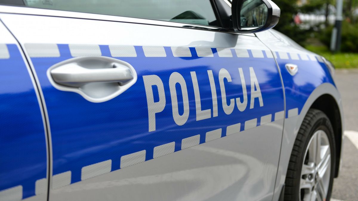 10-latek zgłosił się na komisariat policji w Luboniu 