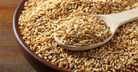 Nie ma lepszej kaszy na odchudzanie. Obniża cukier i "zły" cholesterol