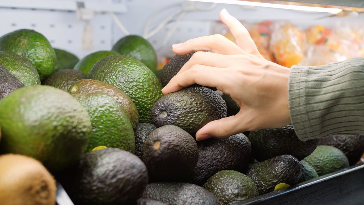 Obejrzyjmy dokładnie awokado przed zjedzeniem