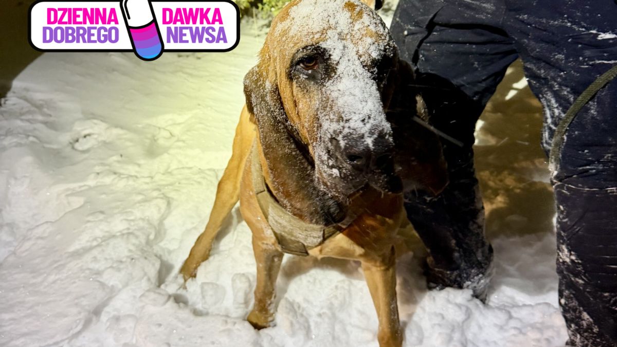 Bo pomógł odnaleźć chłopca