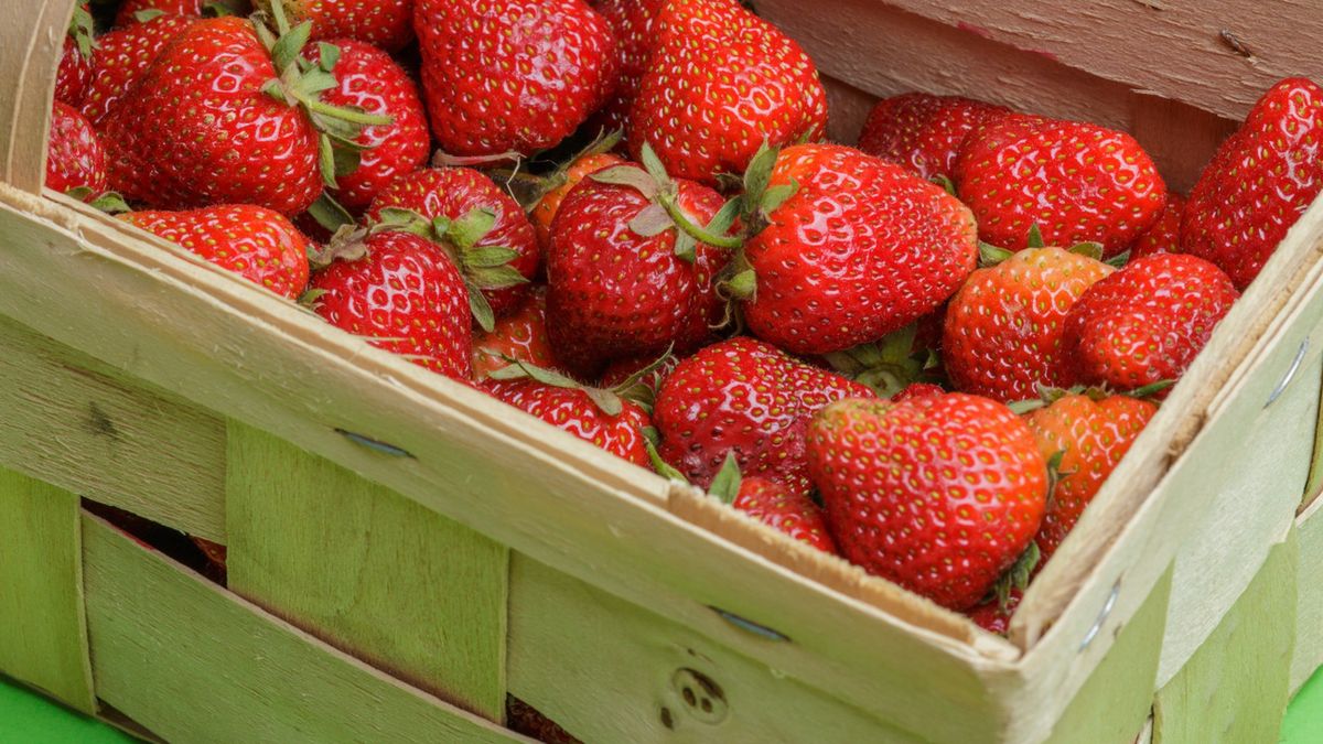 Popyt na truskawki jest ogromny, podaż nie nadąża