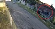 Kolumbijczyk zginął na polskiej drodze. W sieci krąży nagranie
