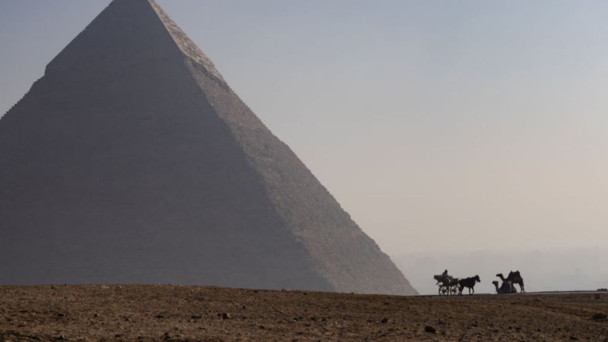 Drapieżne zwierzę pojawiło się w Egipcie po 5 tys. lat