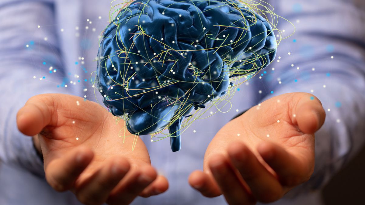 Mózg jest naszym centrum dowodzenia - odpowiedzialny jest za odbieranie, przetwarzanie i generowanie wszystkich bodźców, które do nas docierają