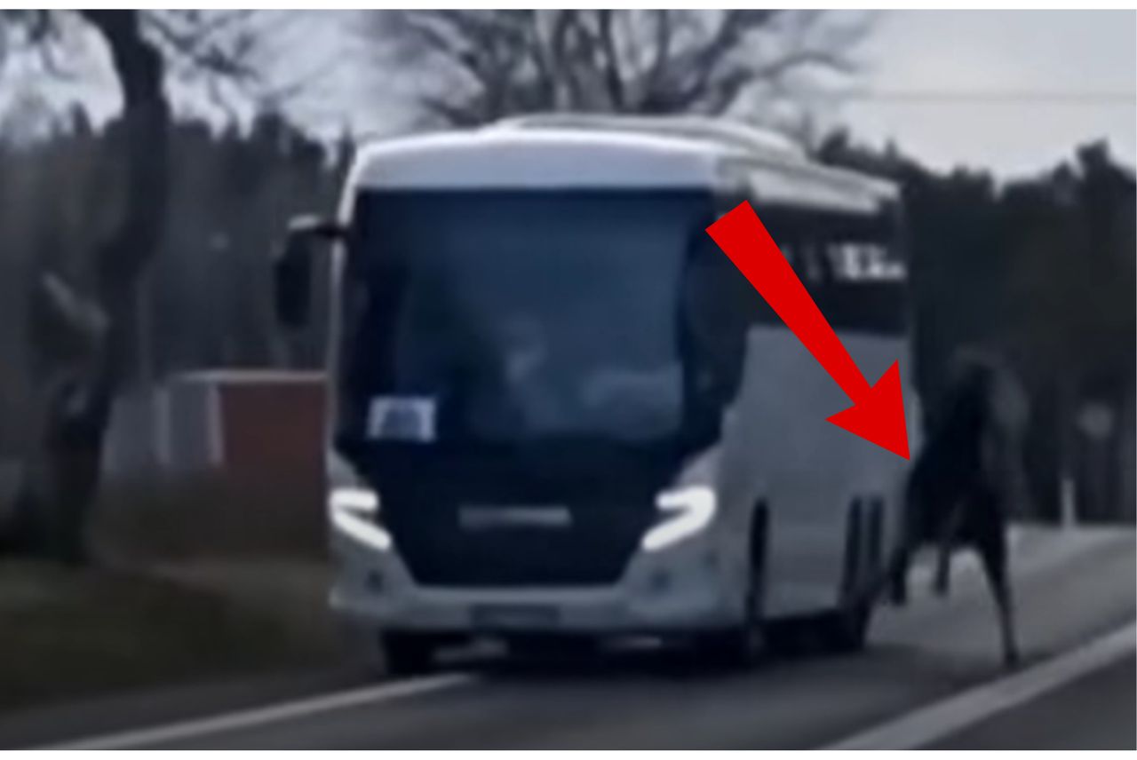 Koszmarny wypadek. Wbiegł w bok jadącego autobusu. W sieci zawrzało