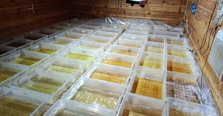 Największe laboratorium metamfetaminy na Podlasiu rozbite. 720 kg "kryształu" wartego 36 milionów złotych i trzy osoby w areszcie