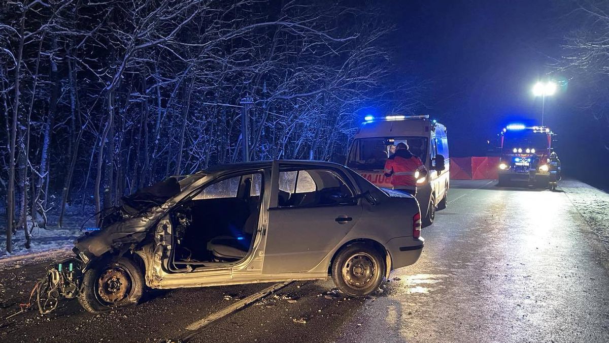 Wypadek w miejscowości Rządza.