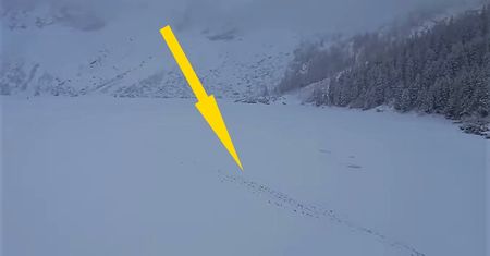 Dlaczego turyści wciąż to robią? "Szkoda tylko dzieci"