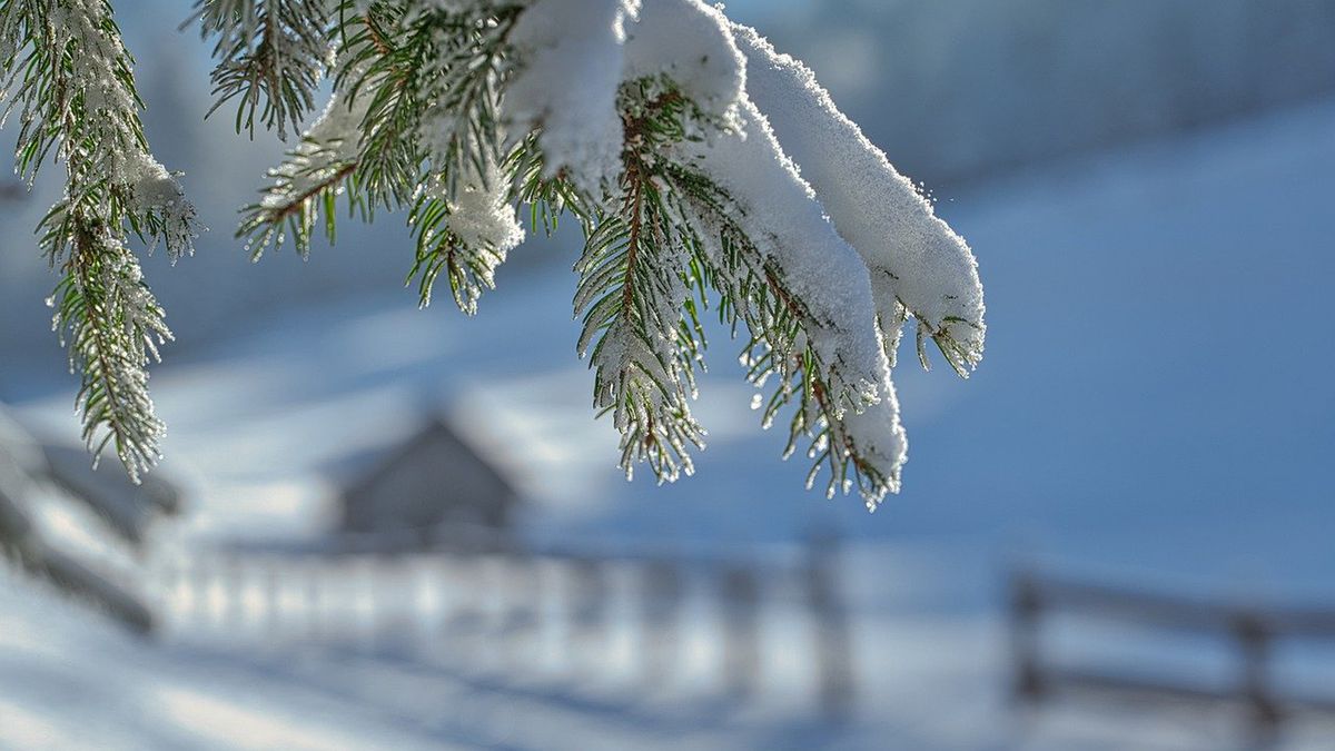 Śnieg ma występować głównie w górach.