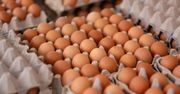 Ceny jaj biją rekordy. Półki pustoszeją
