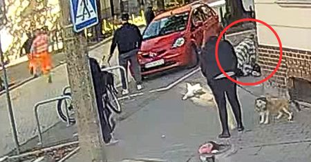 Atak nożownika w Poznaniu. Kamera nagrała reakcję ludzi