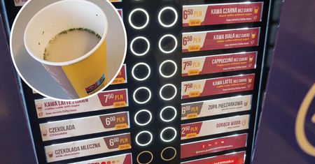 W pociągu kupiłam zupę za 6 złotych. Łyczek wystarczył, żebym wiedziała, czy było warto