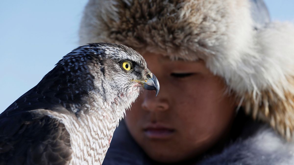 Zobacz, jak wyglądają tradycyjne konkursy myśliwskie w Kazachstanie 1