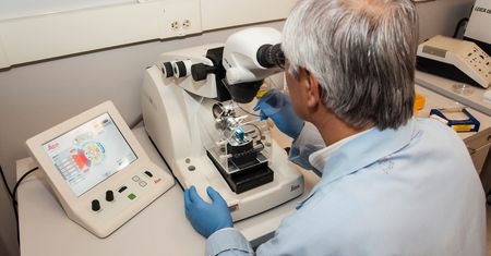 Naukowcy stworzyli drożdże z ludzkim DNA