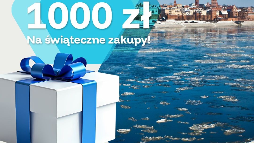 Widok na Toruń