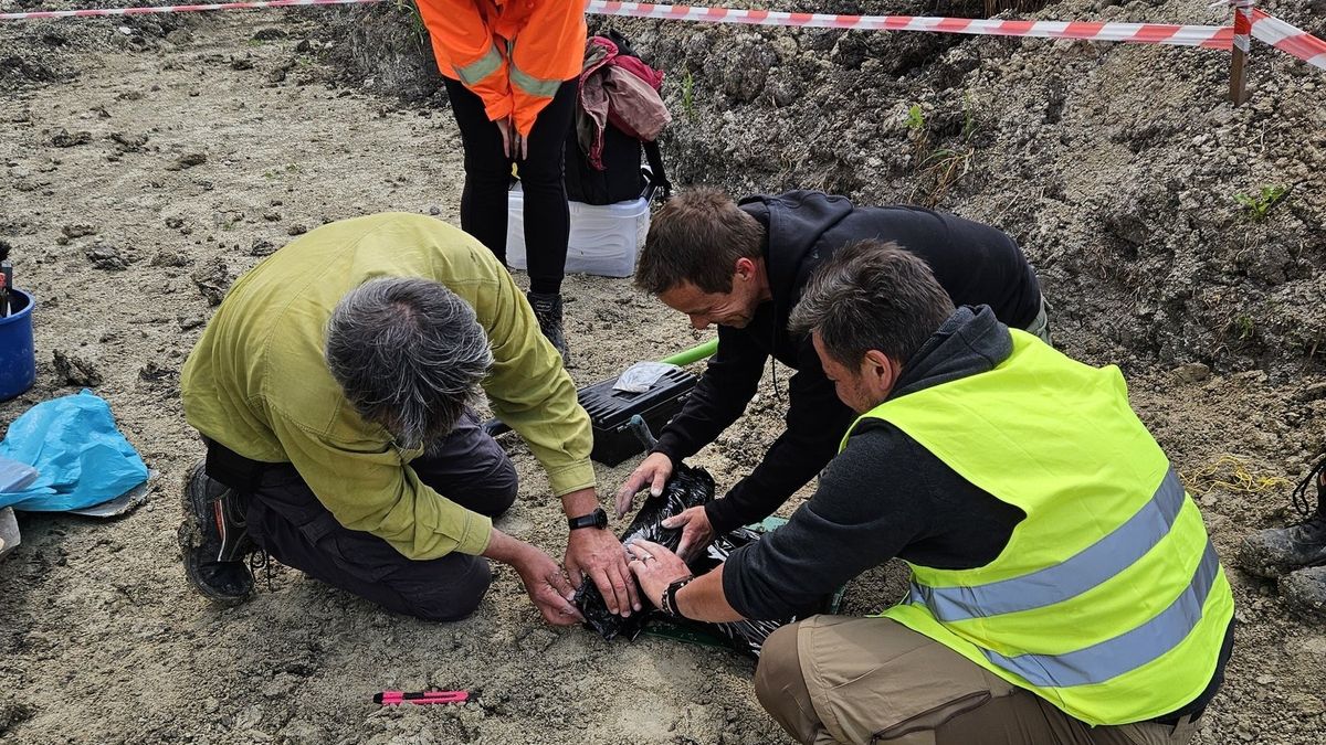 Odkrycie jest prawdziwą archeologiczną sensacją 