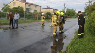 Gwałtowna burza i ulewny deszcz w powiecie bełchatowskim. Powalone drzewa, połamane konary i zalane ulice