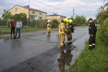 Gwałtowna burza i ulewny deszcz w powiecie bełchatowskim. Powalone drzewa, połamane konary i zalane ulice