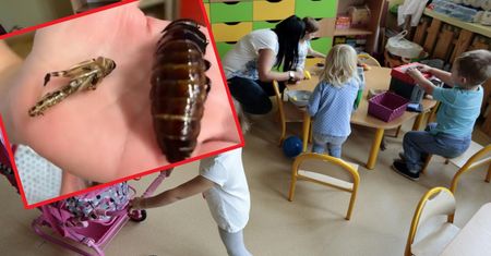Dzieci zjadły robaki w przedszkolu. "Kontrowersyjne" nagranie wywołało oburzenie