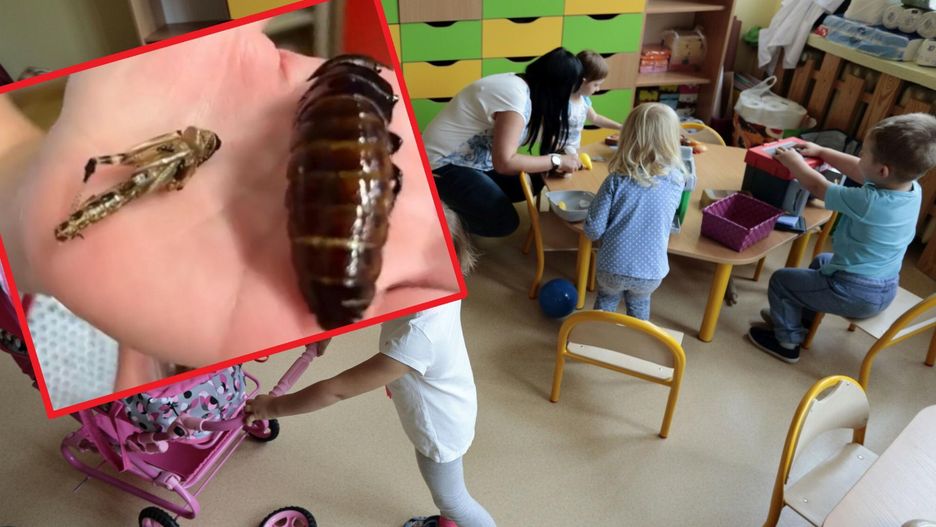 Na przedszkole wylała się fala hejtu