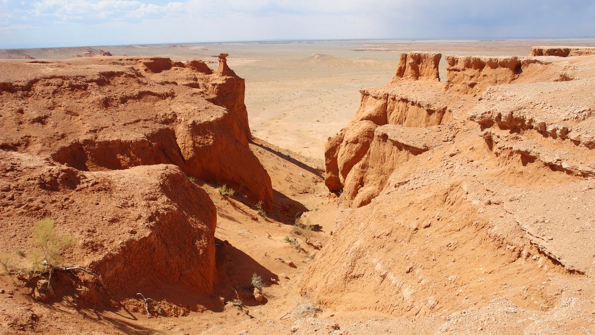Znalezienie maleńkiej skamieliny na tak wielkiej pustyni to cud