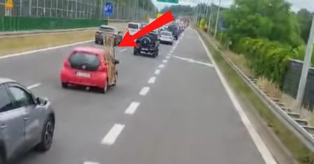 "Normalnie jest kot". Niesie się nagranie. Spójrz na czerwoną toyotę